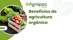 Benefícios da agricultura orgânica
