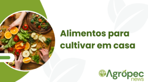 O que plantar no inverno?