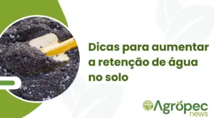 Dicas para aumentar a retenção de água no solo