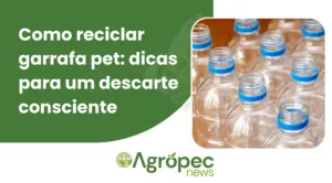 Como reciclar garrafa pet: dicas para um descarte consciente