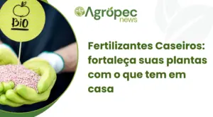 Fertilizantes Caseiros: fortaleça suas plantas com o que tem em casa