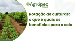 Rotação de culturas: o que é quais os benefícios para o solo