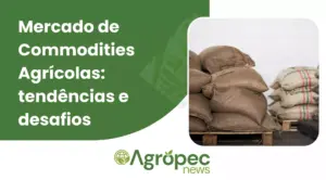 Mercado de Commodities Agrícolas: tendências e desafios