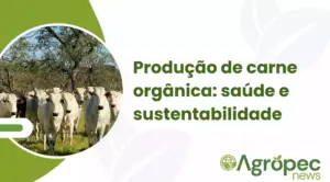 Produção de carne orgânica: saúde e sustentabilidade