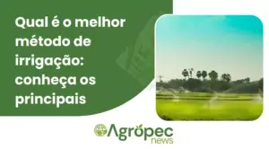 Qual é o melhor método de irrigação: conheça os principais