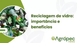 Reciclagem de vidro: importância e benefícios