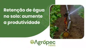 Retenção de água no solo: aumente a produtividade