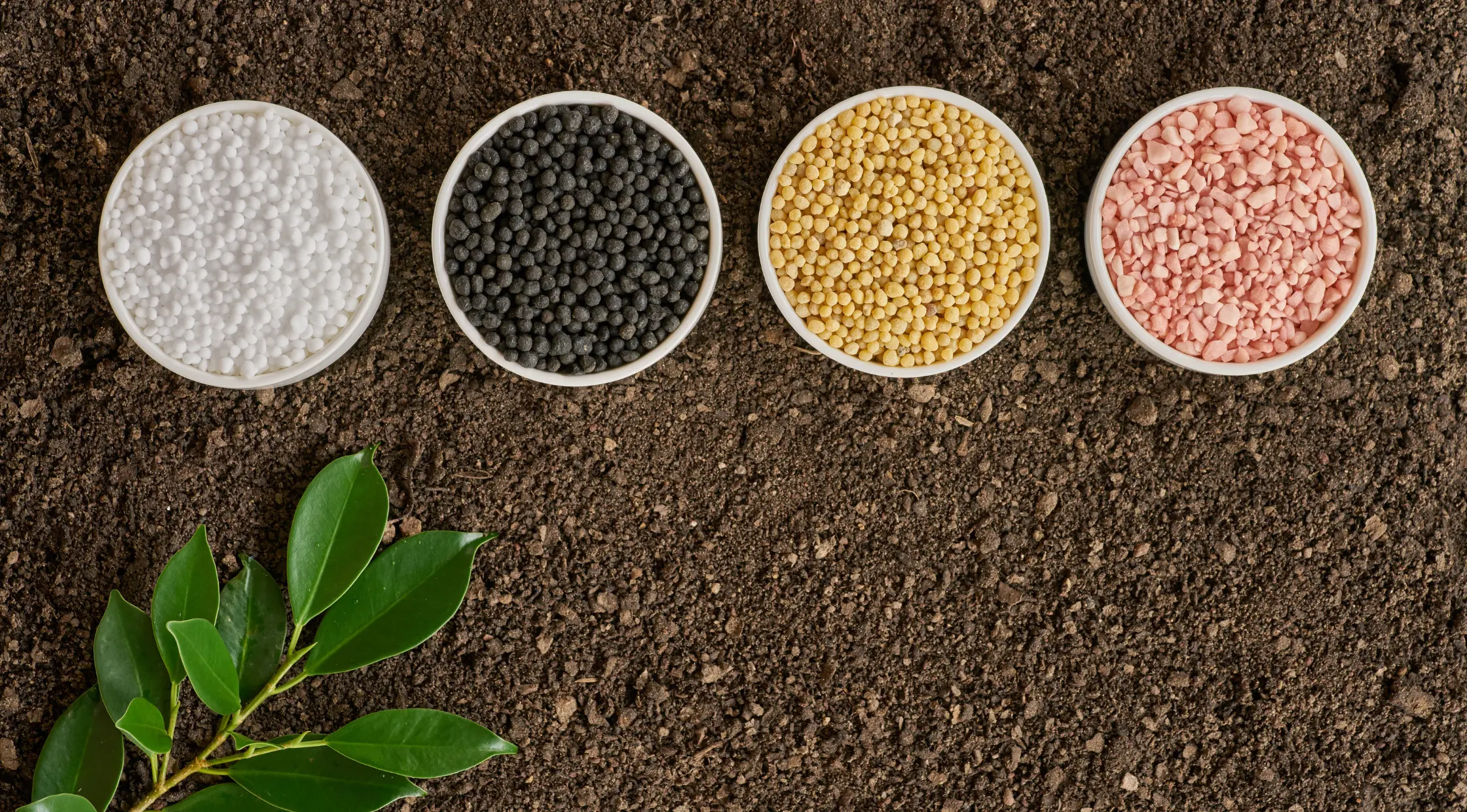Adubação e fertilidade do solo: como fazer e técnicas essenciais