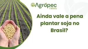 Ainda vale a pena plantar soja no Brasil? 
