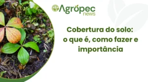 Cobertura do solo: o que é, como fazer e importância