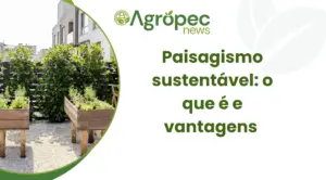 Paisagismo sustentável: o que é, vantagens e dicas para colocar em prática