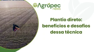 Plantio direto: benefícios e desafios dessa técnica