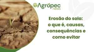 Erosão do solo: o que é, causas, consequências e como evitar