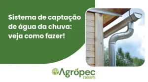 Sistema de captação de água da chuva: veja como fazer!