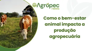 Como o bem-estar animal impacta a produção agropecuária