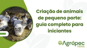 Criação de animais de pequeno porte: guia completo para iniciantes