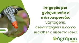 Irrigação por gotejamento e microaspersão: Vantagens, desvantagens e como escolher o sistema ideal