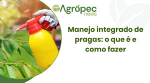 Manejo integrado de pragas: o que é e como fazer