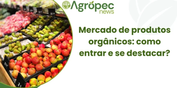Mercado de produtos orgânicos: como entrar e se destacar?