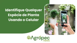 Identifique Qualquer Planta Usando o Celular