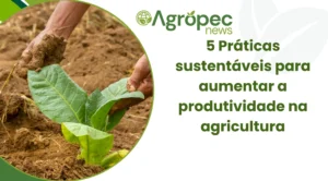 5 Práticas sustentáveis para aumentar a produtividade na agricultura