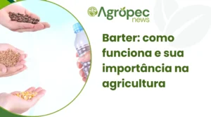 Barter: como funciona e sua importância na agricultura