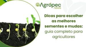 Dicas para escolher as melhores sementes e mudas: guia completo para agricultores
