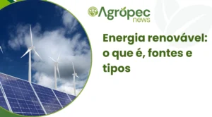 Energia renovável: o que é, fontes e tipos