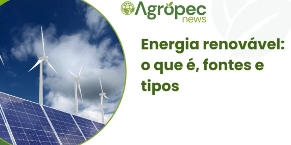 Energia renovável: o que é, fontes e tipos