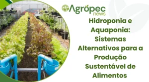 Hidroponia e Aquaponia: Sistemas Alternativos para a Produção Sustentável de Alimentos