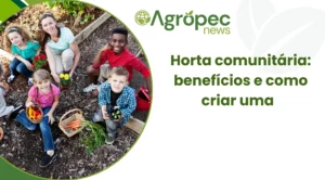Horta comunitária: benefícios e como criar uma