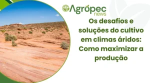 Os desafios e soluções do cultivo em climas áridos: Como maximizar a produção