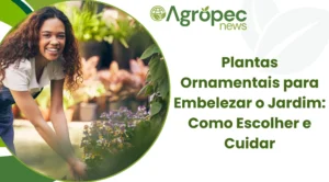 Plantas Ornamentais para Embelezar o Jardim: Como Escolher e Cuidar