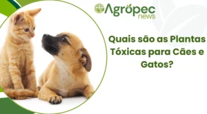 Quais são as Plantas Tóxicas para Cães e Gatos?