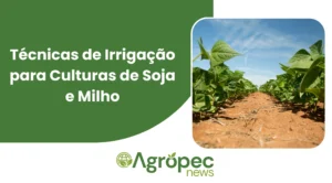 Técnicas de Irrigação para Culturas de Soja e Milho