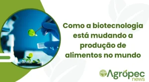 Como a biotecnologia está mudando a produção de alimentos no mundo