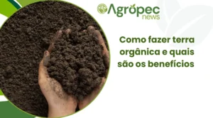 Como fazer terra orgânica e quais são os benefícios