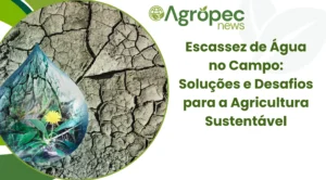 Escassez de Água no Campo: Soluções e Desafios para a Agricultura Sustentável