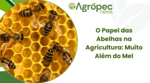 O Papel das Abelhas na Agricultura: Muito Além do Mel
