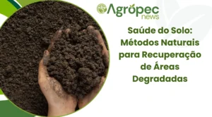 Saúde do Solo: Métodos Naturais para Recuperação de Áreas Degradadas