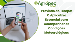 Previsão do Tempo: O Aplicativo Essencial para Acompanhar as Condições Meteorológicas