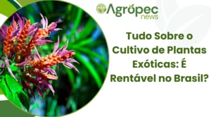 Tudo Sobre o Cultivo de Plantas Exóticas: É Rentável no Brasil?
