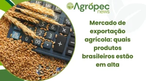 Mercado de exportação agrícola: quais produtos brasileiros estão em alta