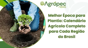Melhor Época para Plantio: Calendário Agrícola Completo para Cada Região do Brasil
