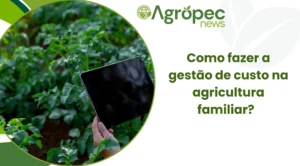 Como fazer a gestão de custo na agricultura familiar?