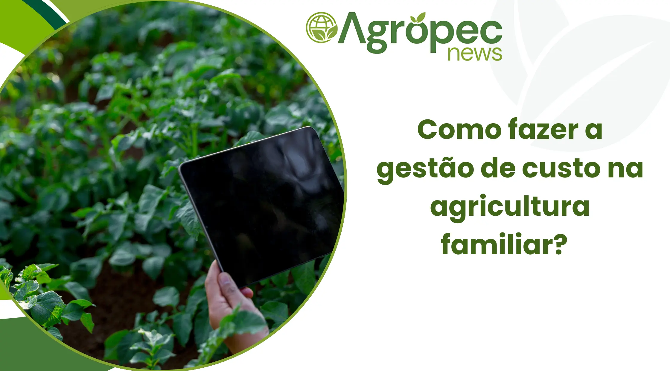 Como fazer a gestão de custo na agricultura familiar?