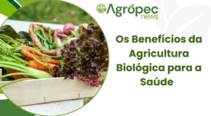 Os Benefícios da Agricultura Biológica para a Saúde
