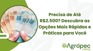 Precisa de Até R$2.500? Descubra as Opções Mais Rápidas e Práticas para Você