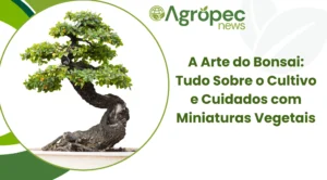 A Arte do Bonsai: Tudo Sobre o Cultivo e Cuidados com Miniaturas Vegetais