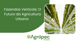 Fazendas Verticais: O Futuro da Agricultura Urbana